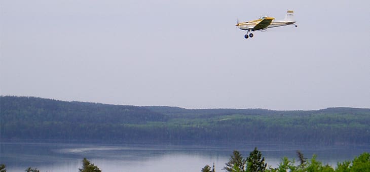 a plane flies over a lake at IISD Experimental Lakes Area in Ontario