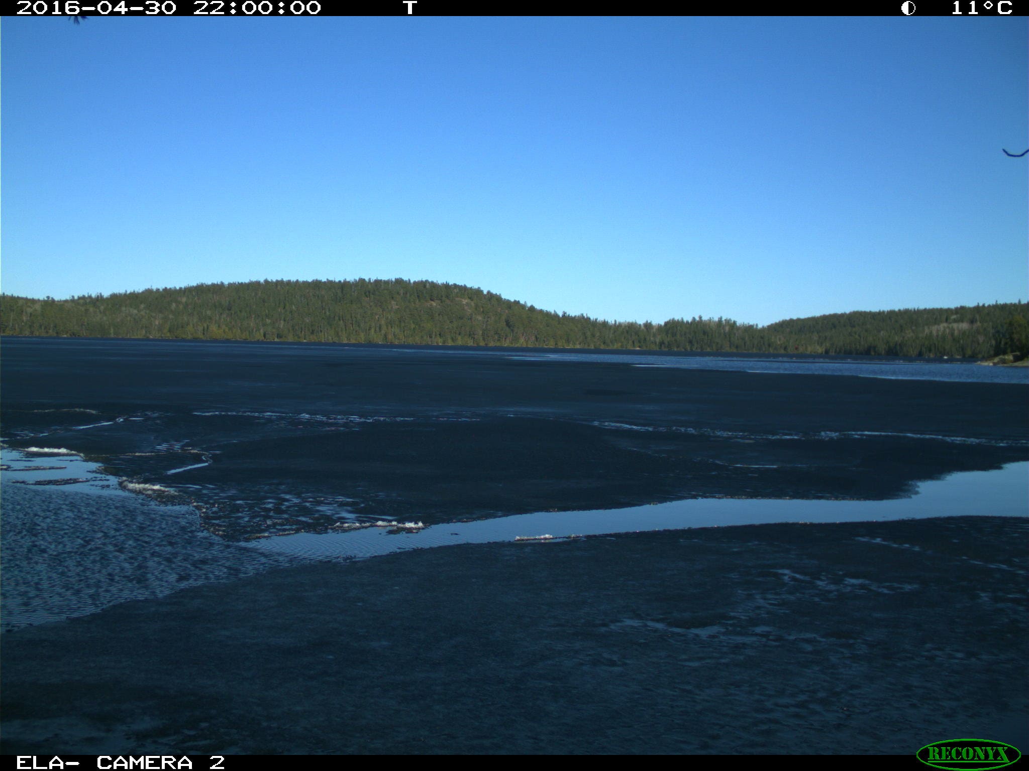 Puddles on the ice and open water at Lake 653 (Geejay Lake) shortly before break-up in April 2016