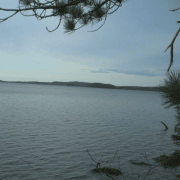 view of lake at IISD Experimental Lakes Area in Ontario