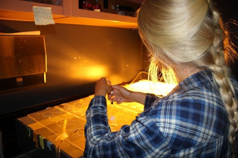 research scientist at the chemistry lab at IISD Experimental Lakes Area in Ontario