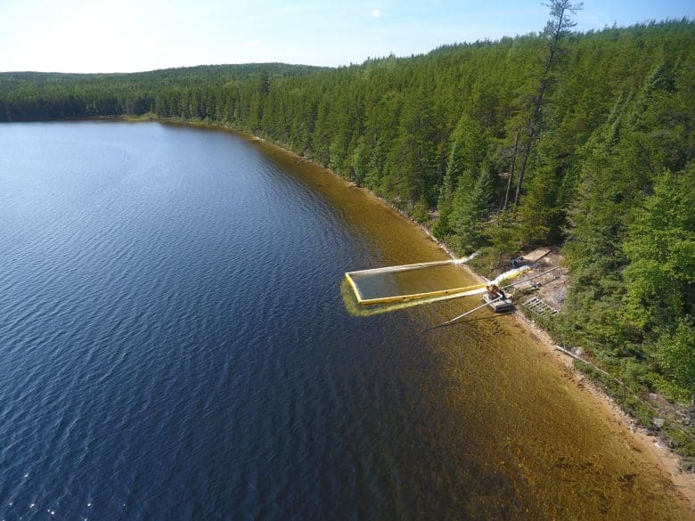 Shoreline experiment at IISD-ELA lake in Ontario