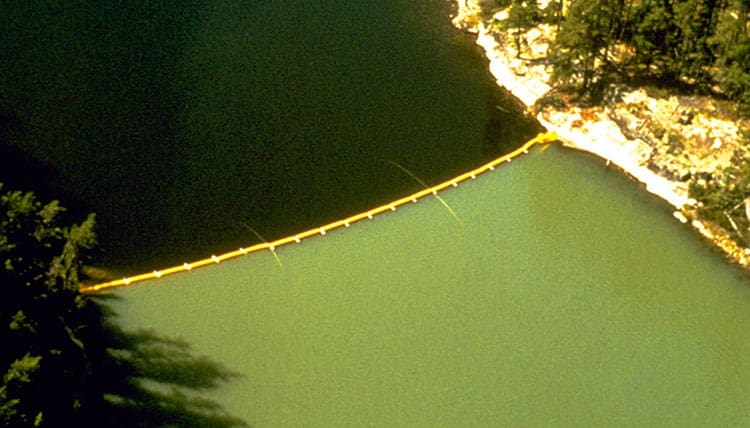 Algal blooms on a lake in Northwestern Ontario