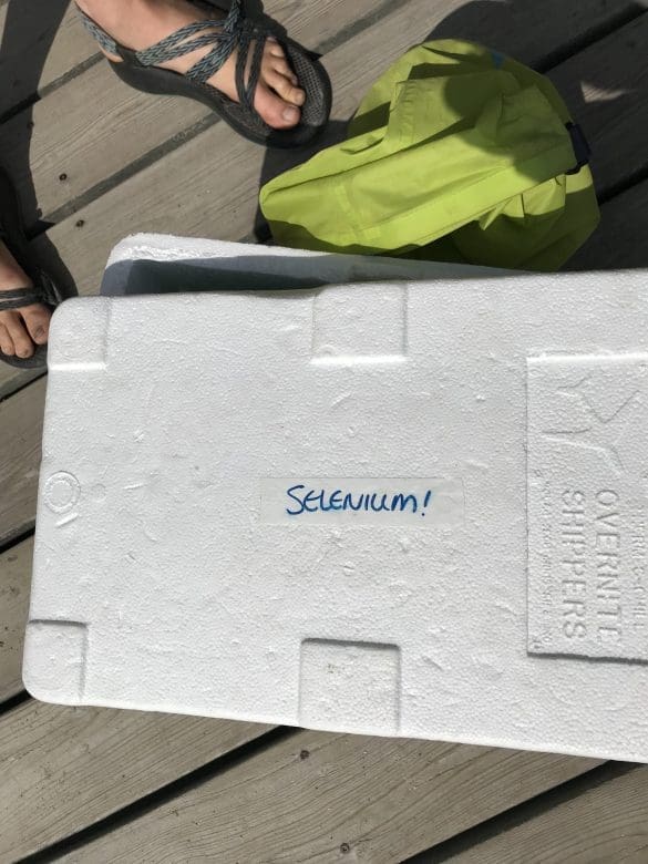 A box labelled selenium on the dock of a lake.