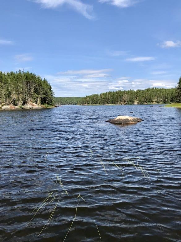 Portrait shot of a lake in the Canada Boreal Shield with reeds and rocks.