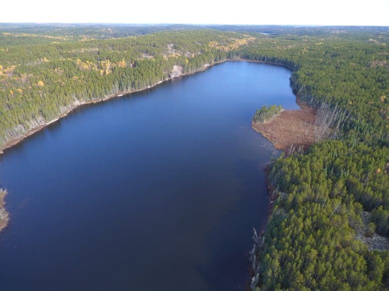 Aerial shot of a blue freshwater lake surrounded by forests.