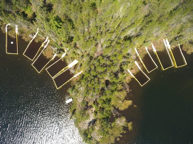 Aerial shot of the shoreline of a lake dotted with yellow, rectangular enclosures.