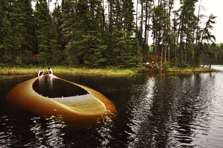 Two people pull in a seine at the shore of a lake set against green trees and a grey sky