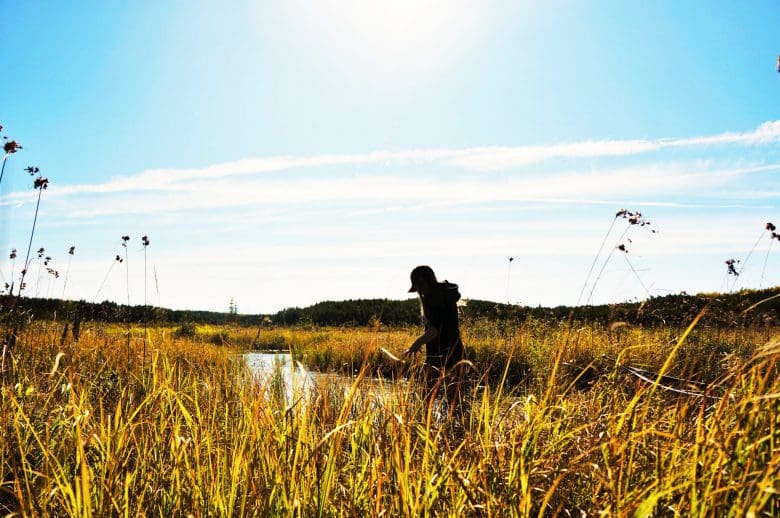 Woman stands in yellow field with the sun shining from the background