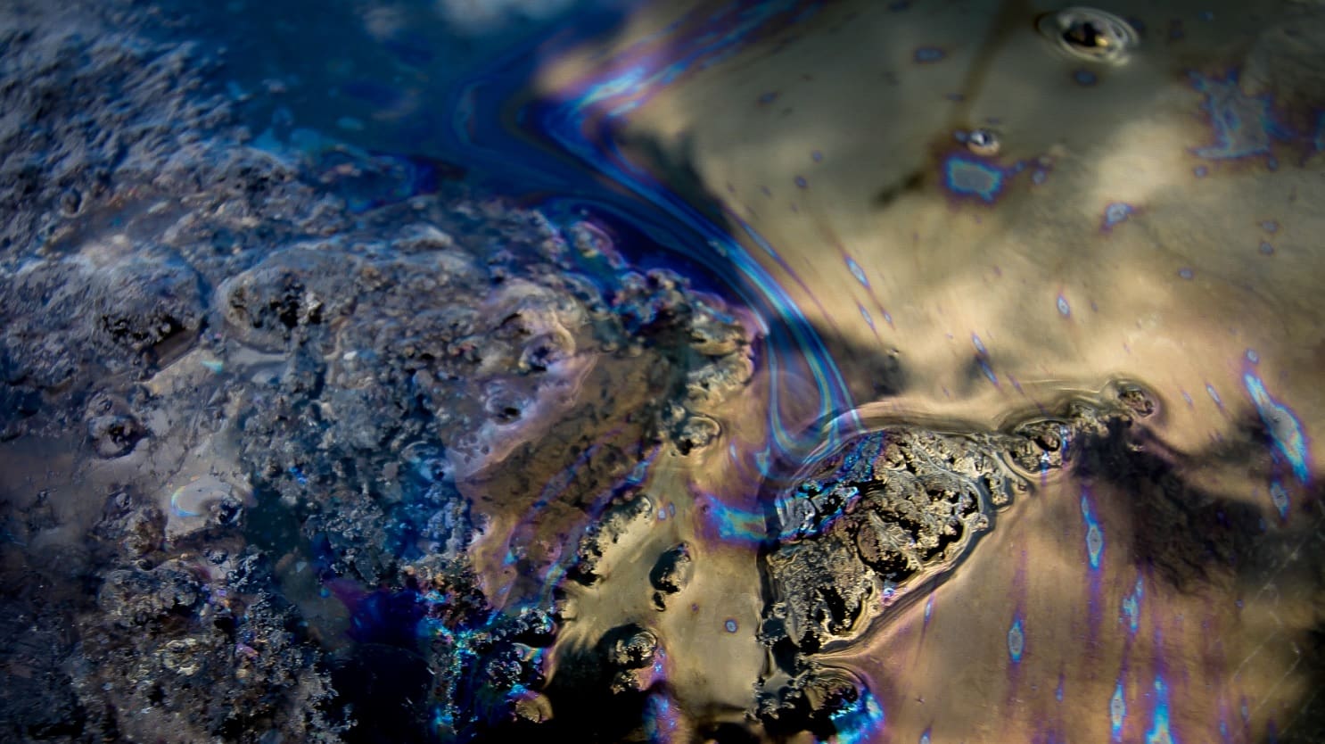 The surface of a freshwater lake covered in diluted bitumen.