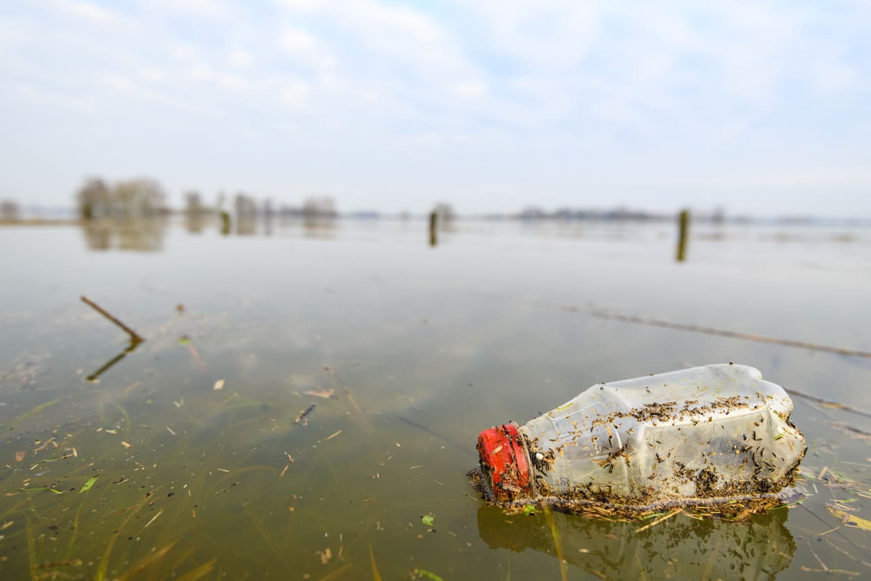 Plastic bottle floating in a river with reeds
