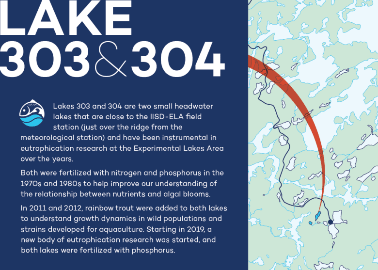 Infographic of Lake 303 and 304 at IISD Experimental Lakes Area in Ontario