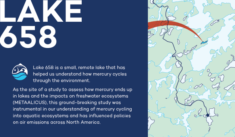 Infographic of Lake 658 at IISD Experimental Lakes Area in Ontario