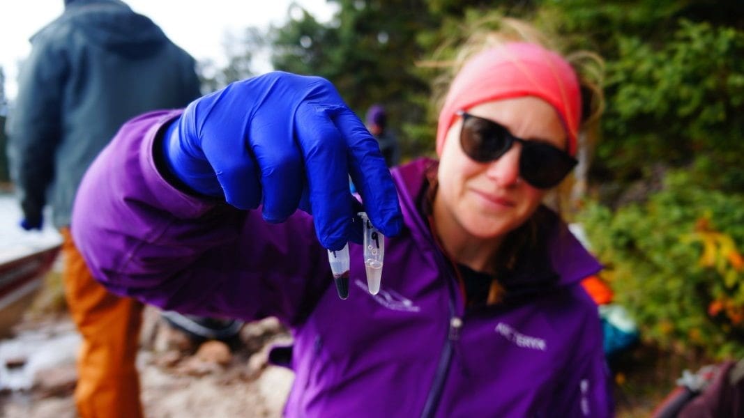 A biologist looks at samples at IISD Experimental Lakes Area in Ontario